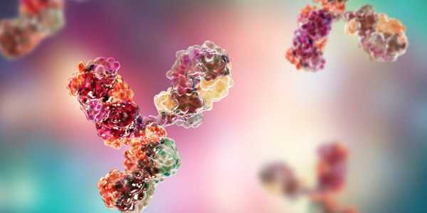 Cancer Antibodies in Modern Medicine – Targeted Detection and Therapy Innovations