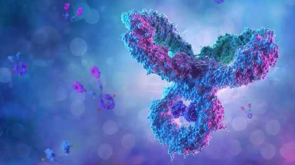 Exploring Cancer Antibodies – Revolutionizing Precision in Cancer Therapy
